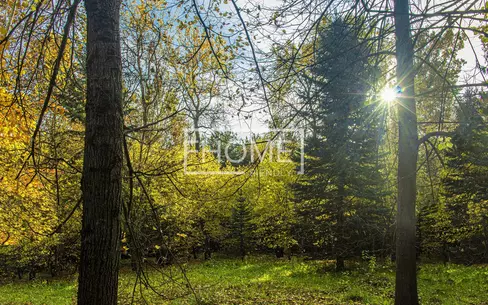 Участок 15 сот.