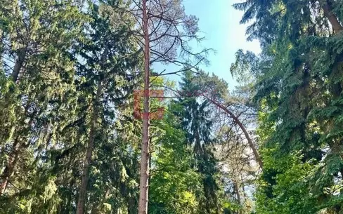 Участок 60 сот. в охраняемом поселке