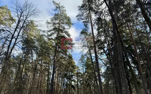 Участок 110 сот.