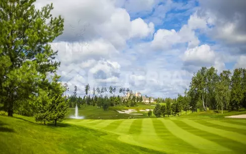 Участок 30.88 сот. в охраняемом поселке