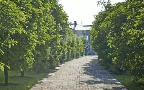 Участок 53 сот.