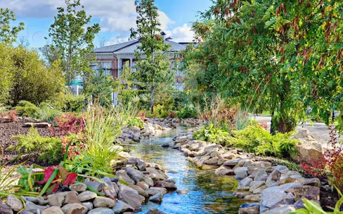 Участок 53 сот.