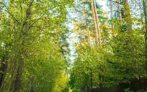 2-этажный коттедж 300 м² без отделки