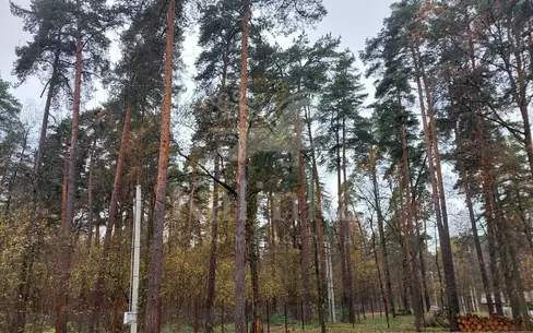 Участок 25 сот.