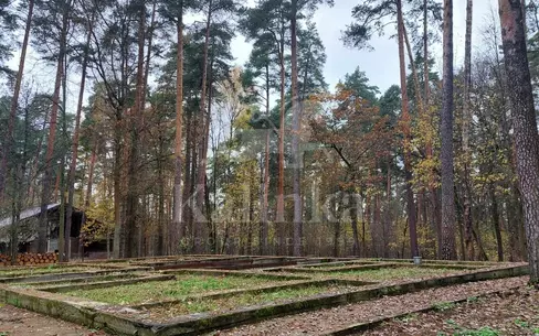 Участок 25 сот.