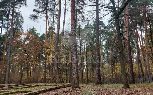 Участок 25 сот.