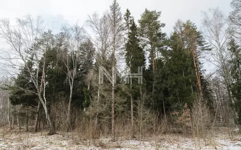 Участок 1 552 сот.