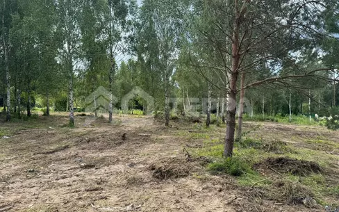 Участок 20 сот.
