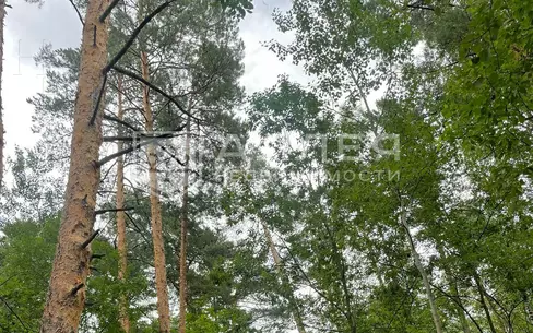 Участок 1 300 сот.