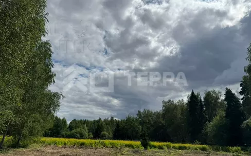 Участок 20 сот.