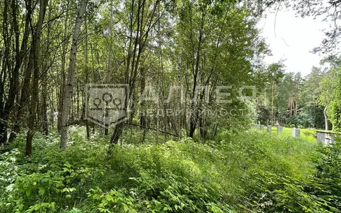 Участок 1 300 сот.