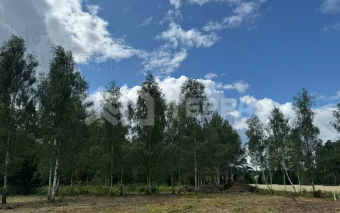 Участок 20 сот.