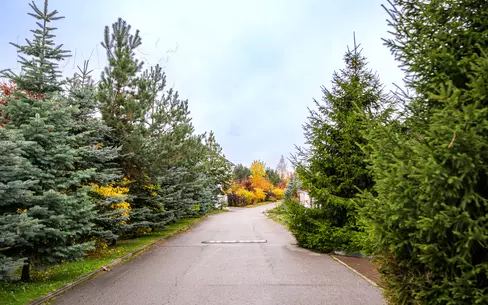 КП «Петровский парк»