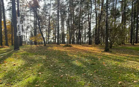 Участок 96.6 сот. в охраняемом поселке