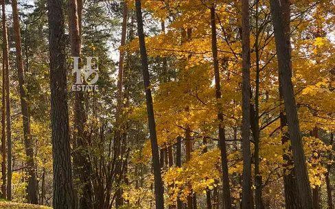 Участок 96.6 сот. в охраняемом поселке