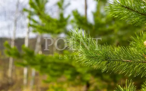 Участок 49 сот. в охраняемом поселке