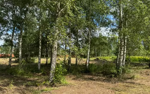 Участок 17 сот.