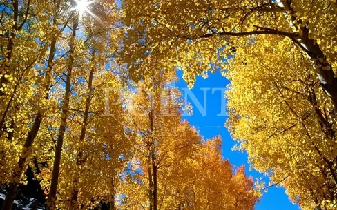 Участок 14.21 сот. в охраняемом поселке