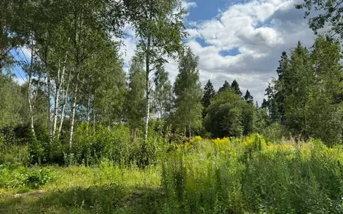 Участок 17 сот.