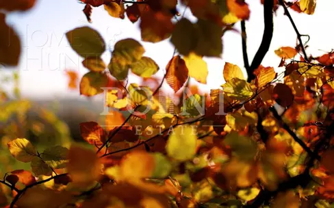 Участок 14.21 сот. в охраняемом поселке