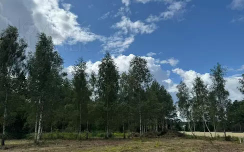 Участок 18 сот.