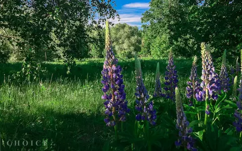 Участок 10 сот. в охраняемом поселке