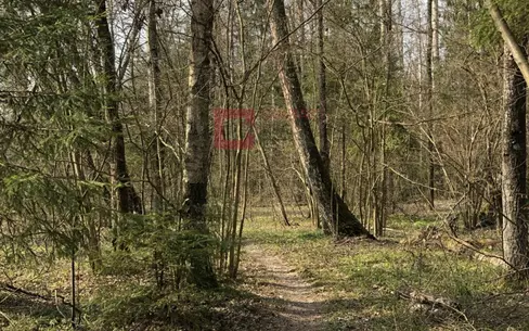 Участок 25 сот.