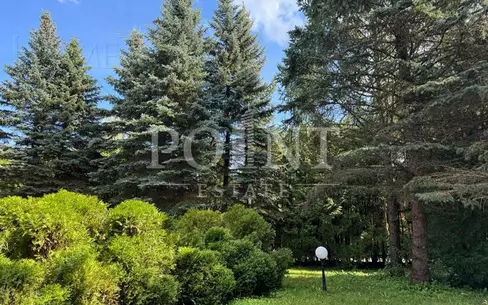 Участок 39.05 сот.