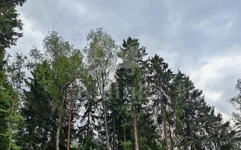 Участок 291.3 сот. в охраняемом поселке