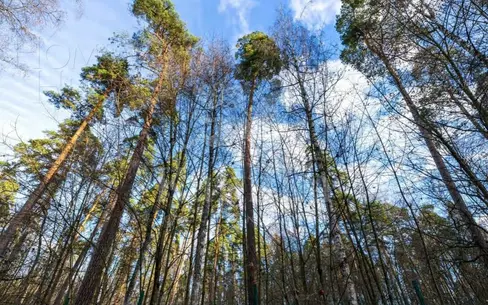 Участок 123 сот. в охраняемом поселке