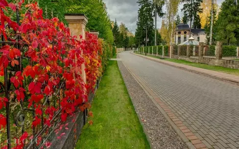 Участок 20 сот.