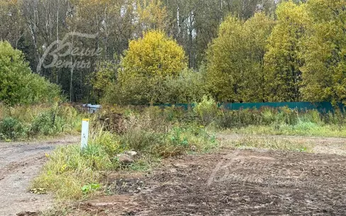 Участок 35.75 сот.