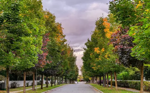 Участок 20.26 сот. в охраняемом поселке