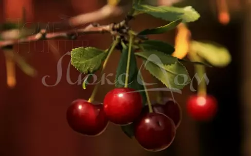 2-КОМН. КВАРТИРА БЕЗ ОТДЕЛКИ 66.2 М² НА 3 ЭТАЖЕ