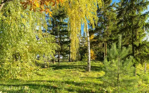 Участок 30 сот. в охраняемом поселке