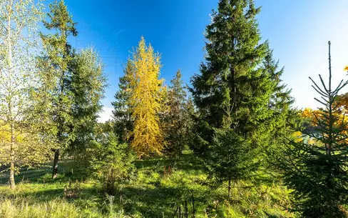 Участок 30 сот. в охраняемом поселке