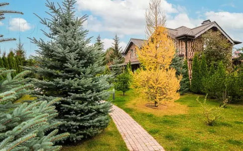 Участок 32 сот.