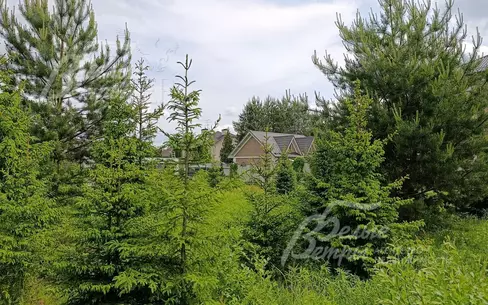 Участок 32.2 сот. в охраняемом поселке