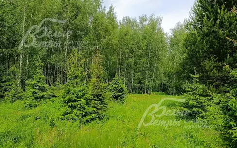 Участок 32.2 сот. в охраняемом поселке