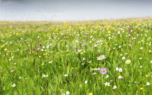 Участок 17.4 сот.