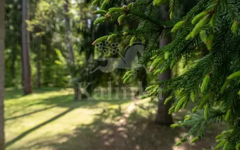 Участок 25.8 сот.