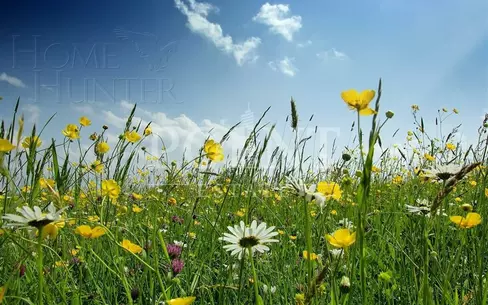 Участок 17.4 сот.