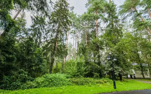 Участок 100 сот.