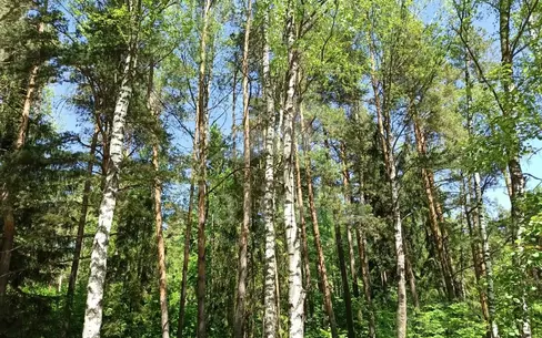 Участок 23 сот. в охраняемом поселке