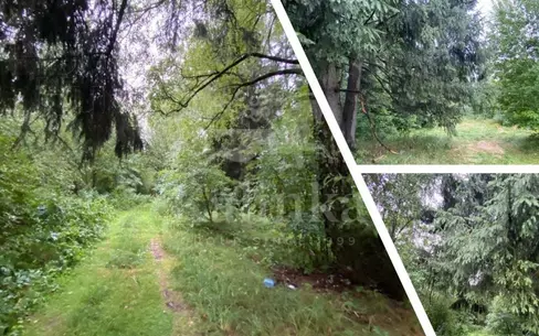 Участок 500 сот.