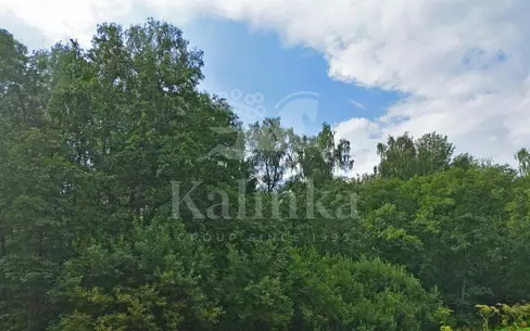 Участок 250 сот.