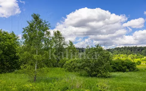 Участок 86 сот. в охраняемом поселке