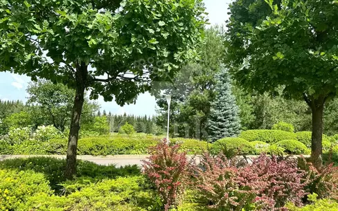 Участок 42.54 сот. в охраняемом поселке