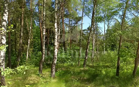 Участок 23 сот. в охраняемом поселке