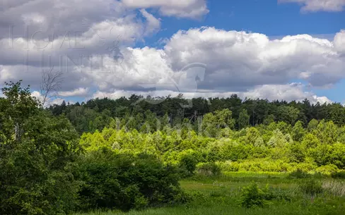 Участок 86 сот. в охраняемом поселке